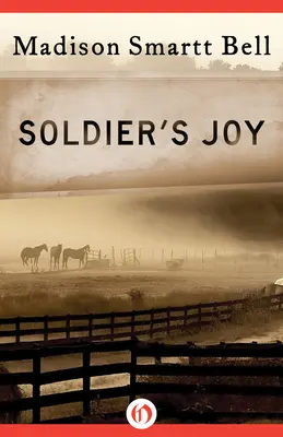 Bucuria soldatului - Soldier's Joy