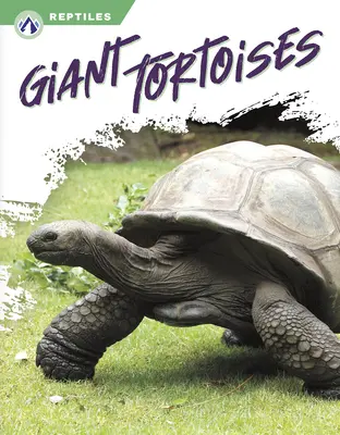 Broaște țestoase uriașe - Giant Tortoises
