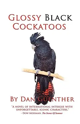 Cockatoos negru lucios - Glossy Black Cockatoos