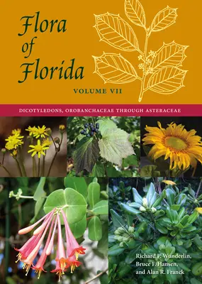 Flora din Florida, volumul VII: dicotiledonate, Orobanchaceae până la Asteraceae - Flora of Florida, Volume VII: Dicotyledons, Orobanchaceae through Asteraceae