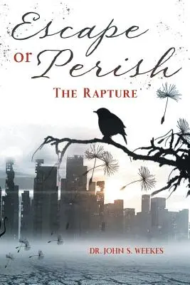 Scăpați sau pieriți: Răpirea - Escape or Perish: The Rapture