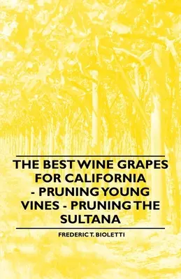 Cei mai buni struguri de vin pentru California - Tunderea viței de vie tinere - Tunderea Sultanei - The Best Wine Grapes for California - Pruning Young Vines - Pruning the Sultana