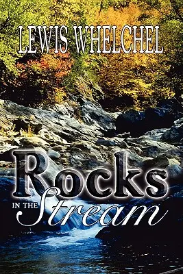 Stânci în pârâu - Rocks in the Stream