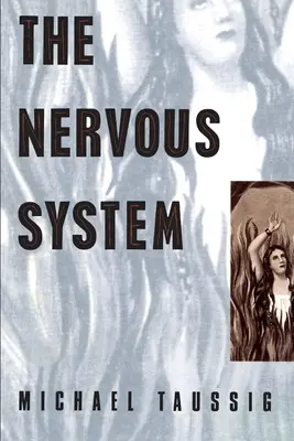Sistemul nervos - The Nervous System