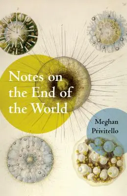 Note despre sfârșitul lumii - Notes on the End of the World