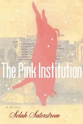 Instituția roz - The Pink Institution