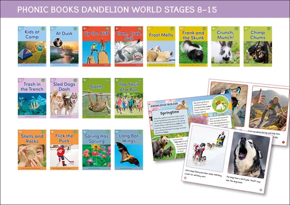 Phonic Books Dandelion World Stages 8-15 (Cuvinte cu patru sunete CVCC) - Phonic Books Dandelion World Stages 8-15 (Words with Four Sounds CVCC)