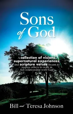 Fiii lui Dumnezeu: O colecție de viziuni, experiențe supranaturale și versete din Scriptură menite să-i inspire pe alții să meargă în relații depline - Sons of God: A collection of visions, supernatural experiences, and scripture verses meant to inspire others to walk in full relati