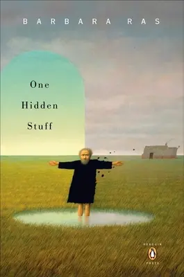 O chestie ascunsă - One Hidden Stuff