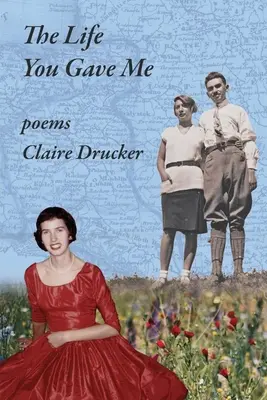 The Life You Gave Me (Viața pe care mi-ai dat-o) - The Life You Gave Me