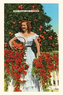 Jurnal de epocă Southern Belle, Oranges, Florida - Vintage Journal Southern Belle, Oranges, Florida