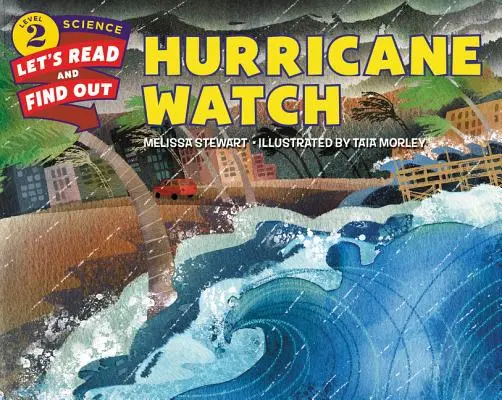 Urmărirea uraganelor - Hurricane Watch
