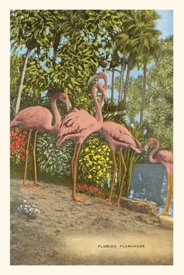 Jurnal de epocă Flamingo, Florida - Vintage Journal Flamingos, Florida