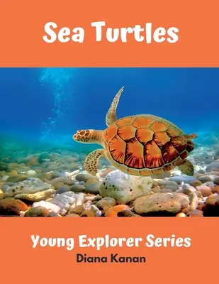 Țestoasele de mare - Sea Turtles