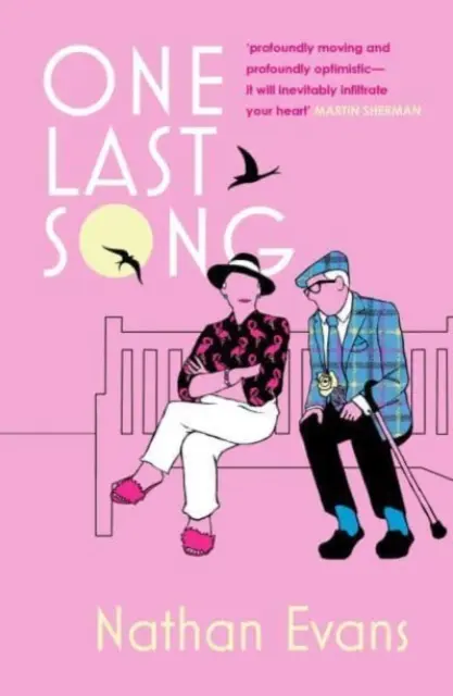 Un ultim cântec - One Last Song