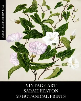 Vintage Art: Sarah Featon: 20 de imprimeuri botanice - Vintage Art: Sarah Featon 20 Botanical Prints