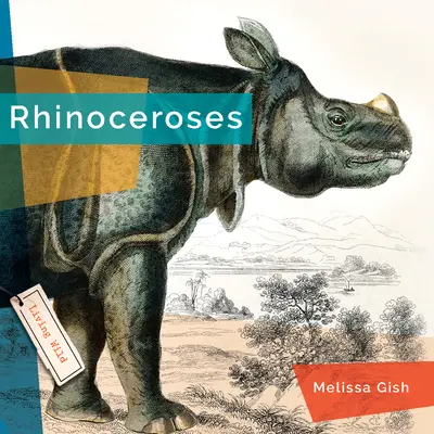 Rinoceri - Rhinoceroses