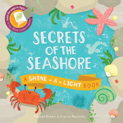 Secretele țărmului mării (Secrets of the Seashore) - Secrets of the Seashore