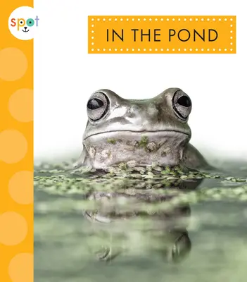 În iaz - In the Pond