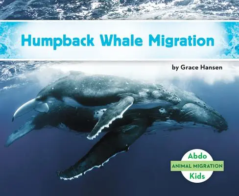 Migrația balenelor cu cocoașă - Humpback Whale Migration