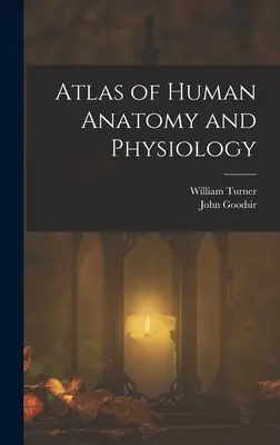 Atlas de anatomie și fiziologie umană - Atlas of Human Anatomy and Physiology