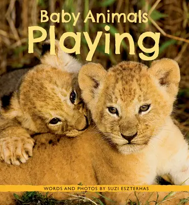Bebeluși care se joacă - Baby Animals Playing