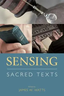 Detectarea textelor sacre - Sensing Sacred Texts