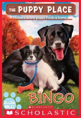 Bingo (The Puppy Place #65) - Bingo (the Puppy Place #65)