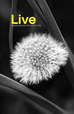 Trăiți: Experimentați viața lui Hristos - Live: Experience Christ's Life