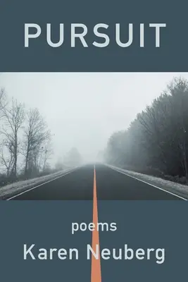 Urmărire - Pursuit