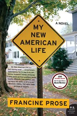 Noua mea viață americană - My New American Life