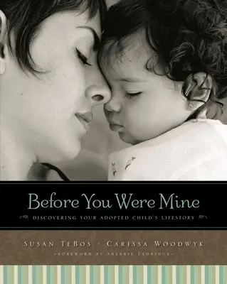 Înainte să fii a mea: Descoperirea poveștii de viață a copilului tău adoptat - Before You Were Mine: Discovering Your Adopted Child's Lifestory