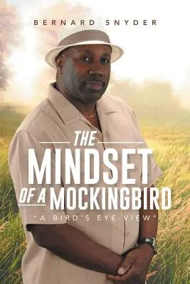 Mentalitatea unei păsări cântătoare: O privire de pasăre - The Mindset of a Mockingbird: A Birds Eye-View