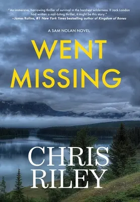 Went Missing: Un roman cu Sam Nolan - Went Missing: A Sam Nolan Novel