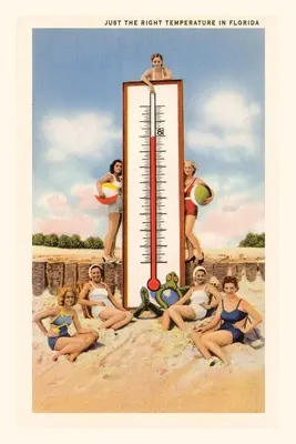 Jurnal de epocă Just the Right Temperature, Florida - Vintage Journal Just the Right Temperature, Florida