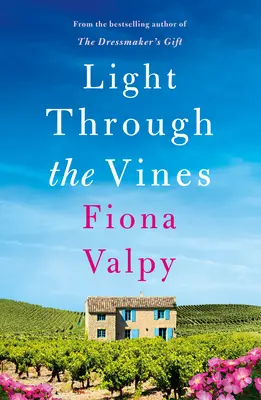 Lumina prin viță de vie - Light Through the Vines