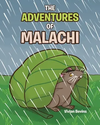 Aventurile lui Malachi - The Adventures of Malachi