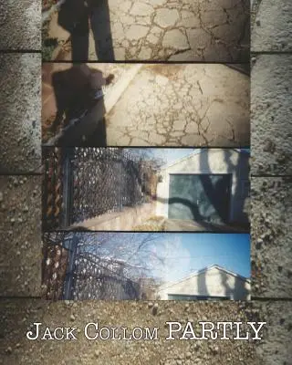 Parțial: Poezii alese: 1954-2016 - Partly: Selected Poems: 1954-2016