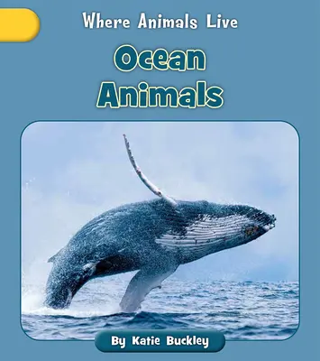 Animale oceanice - Ocean Animals