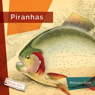 Piranha - Piranhas