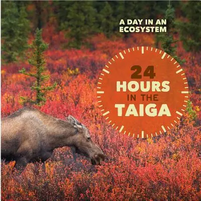 24 de ore în Taiga - 24 Hours in the Taiga