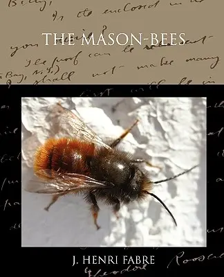 Albinele Mason - The Mason-bees