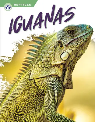Iguane - Iguanas