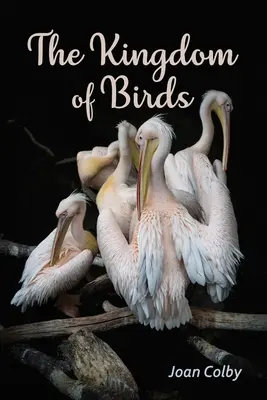 Regatul păsărilor - The Kingdom of Birds