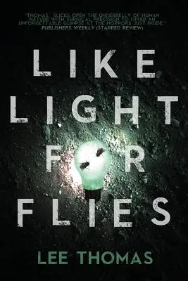 Ca lumina pentru muște: Povestiri - Like Light for Flies: Stories
