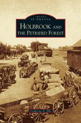 Holbrook și pădurea pietrificată - Holbrook and the Petrified Forest