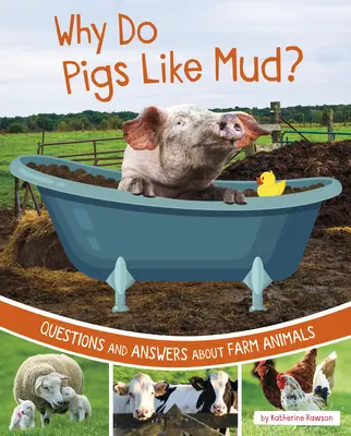 De ce le place noroiul porcilor?: Întrebări și răspunsuri despre animalele de fermă - Why Do Pigs Like Mud?: Questions and Answers about Farm Animals