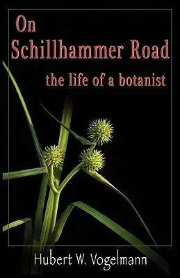Pe strada Schillhammer - On Schillhammer Road
