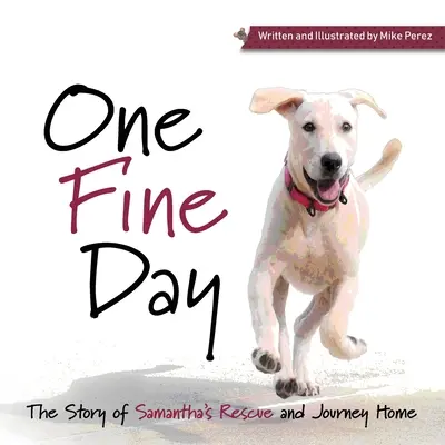 O zi frumoasă - One Fine Day