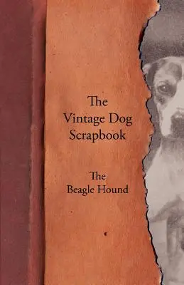 Cartea de amintiri a câinelui de epocă - Beagle Hound - The Vintage Dog Scrapbook - The Beagle Hound